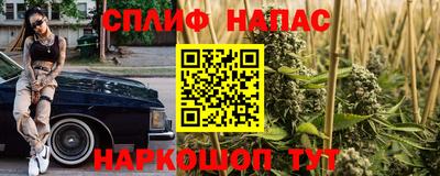 мяу мяу мука Нальчик