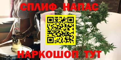 мяу мяу мука Нальчик