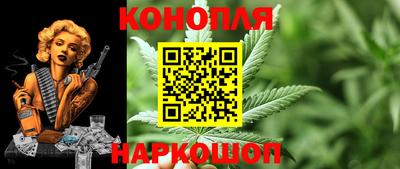 мяу мяу мука Нальчик