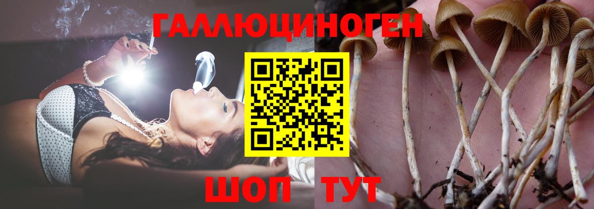Галлюциногенные грибы мицелий  где можно купить   Крымск  Вход с VPN 